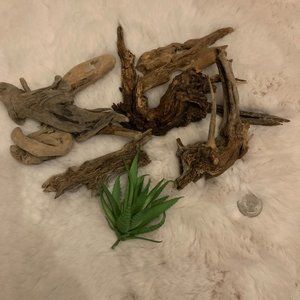 Real Driftwood Pieces & faux air plant bundle